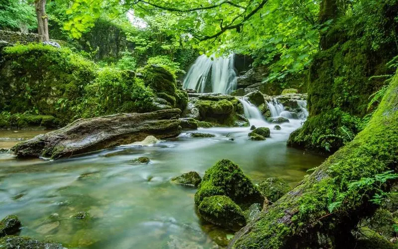 高效高性能智慧